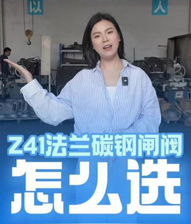 z41法兰碳钢闸阀怎么选？