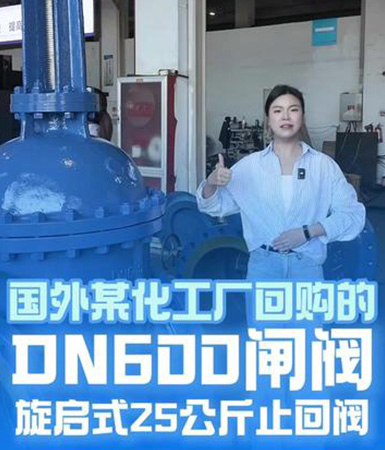DN600闸阀旋启式25公斤止回阀发货！